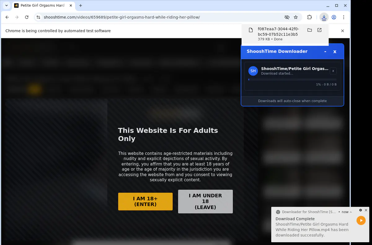 Shooshtime Video Downloader screenshot 2