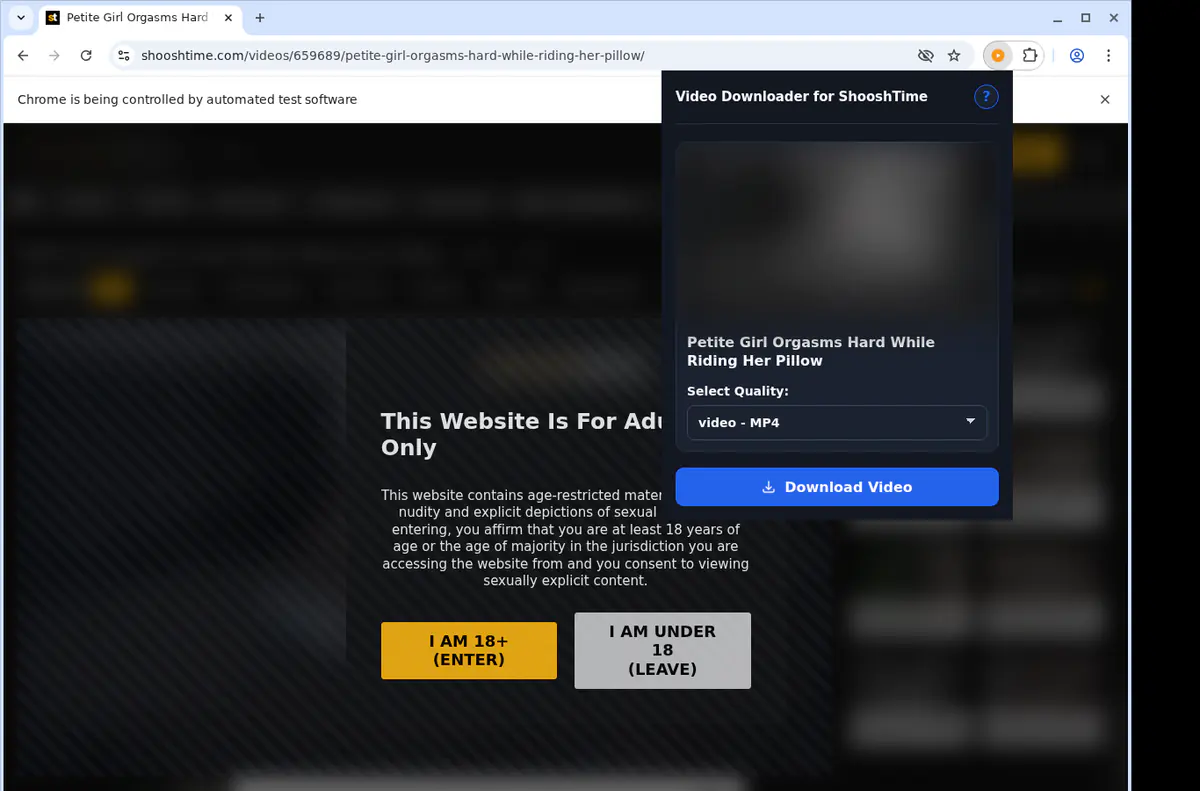 Shooshtime Video Downloader screenshot 3