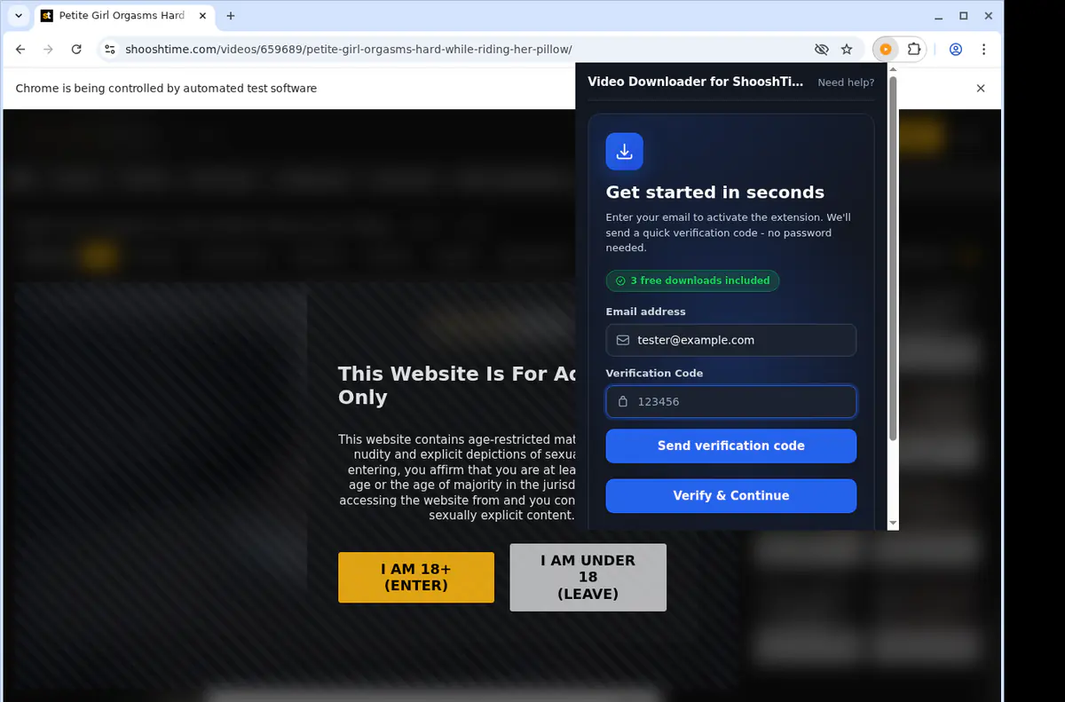 Shooshtime Video Downloader screenshot 4