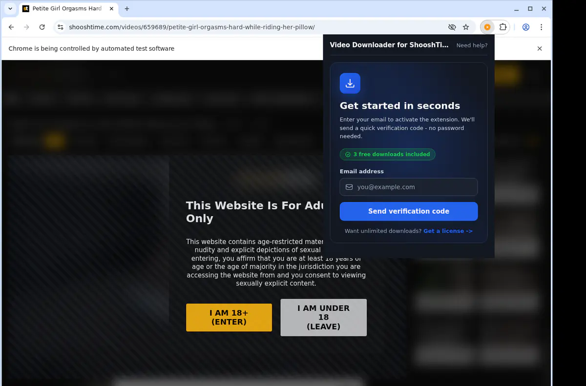 Shooshtime Video Downloader screenshot 5